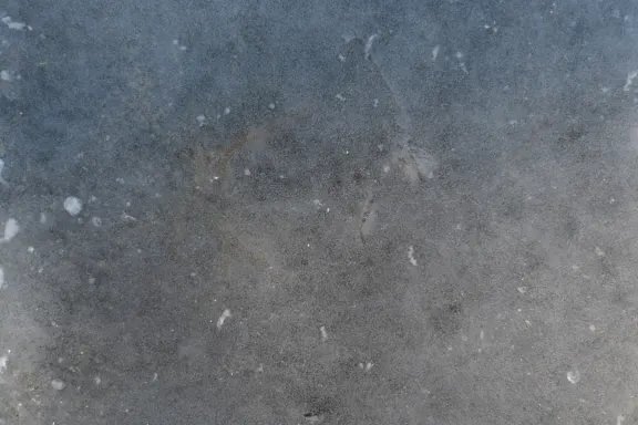 カジノ コインズ ゲーム サポート